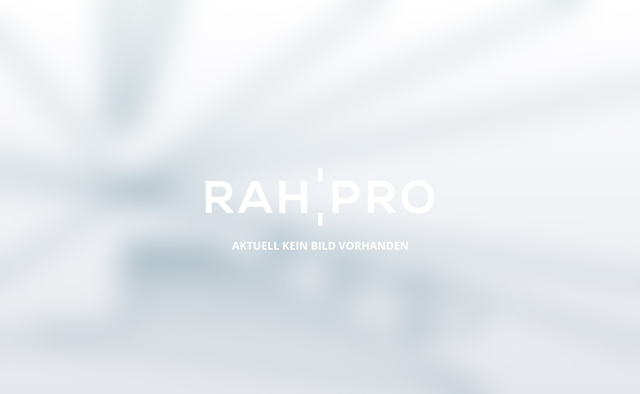 Rahpro Projekt (ohne Bild)